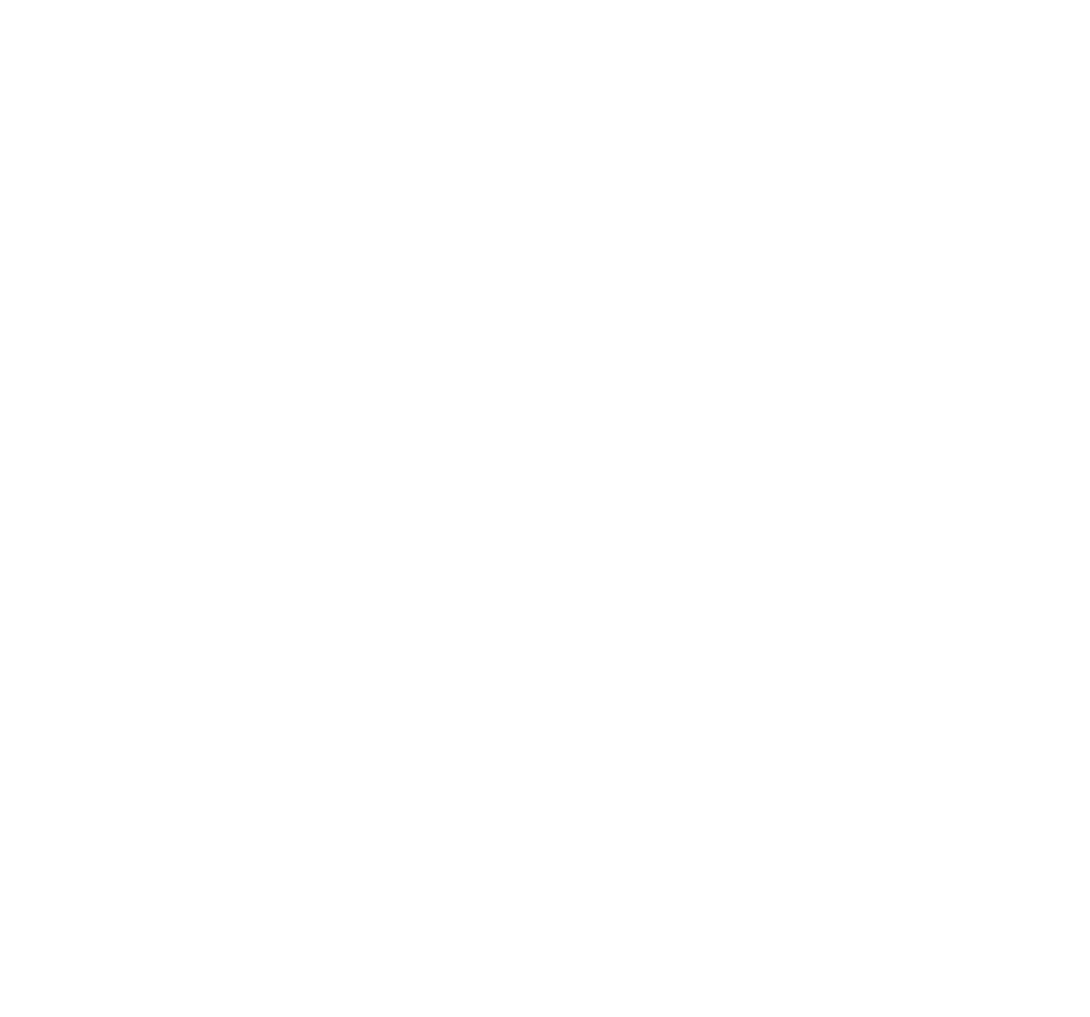 Ficaush